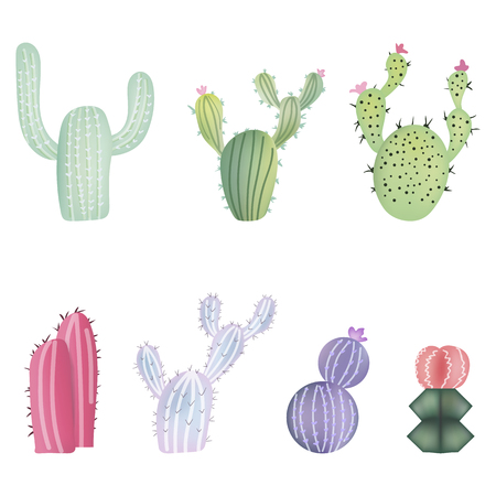 Set of different colorful realistic cactuses. Vector illustration isolated on white background.のイラスト素材