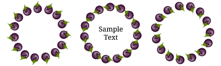 Wreath Set from Eggplants with Space for Text. Raw Aubergine Vegetables isolated on white background. For Market, Recipe Design. Organic Food. Cartoon Style. Vector illustration for Your Design, Web.のイラスト素材