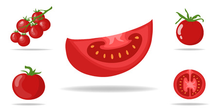 Set of Fresh Red Tomatoes isolated on white background. Branch, Whole, Half and Slice Tomato Icons for Market, Recipe Design. Organic Food. Cartoon Style. Vector illustration for Design, Web.のイラスト素材