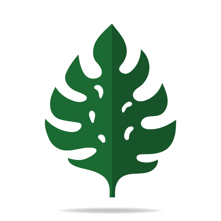 Monstera leaf isolated on white. Tropical jungle green leaves. Flat style. Vector illustration for your design, web.のイラスト素材