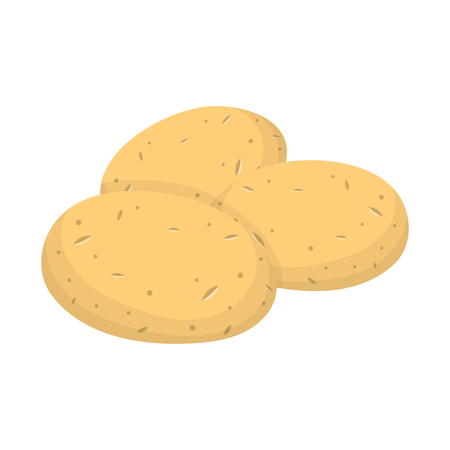 Fresh potato vegetable isolated on white background. Potato icon for market, recipe design. Organic food. Cartoon style. Clean and modern vector illustration for design.のイラスト素材