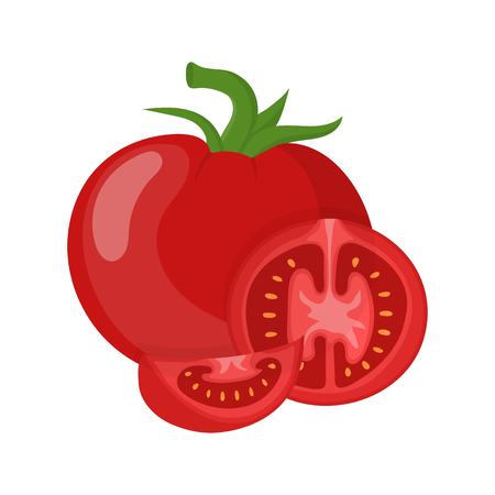 Fresh red tomato vegetable isolated on white background. Whole, half and slice tomato icon for market, recipe design. Organic food. Cartoon style. Vector illustration for design.のイラスト素材