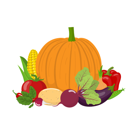 Group of fresh vegetables isolated on white background. Pumpkin, tomato, corn, bell pepper, potato, radish, beet, chilli pepper, eggplant, pea. Organic food. Cartoon style. Vector illustration.のイラスト素材