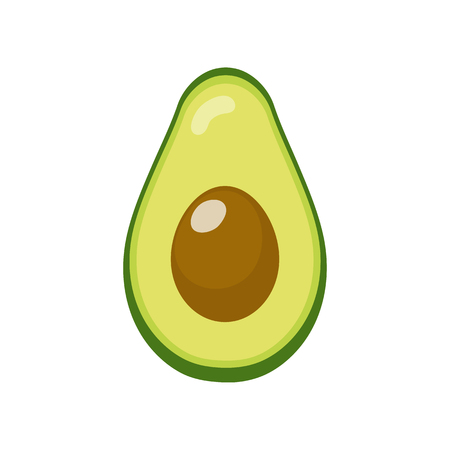 Fresh half avocado isolated on white background. Organic food. Cartoon style. Vector illustration for design.のイラスト素材