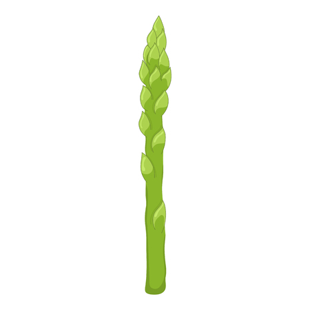 Fresh asparagus isolated on white background. Organic food. Cartoon style. Vector illustration for design.のイラスト素材