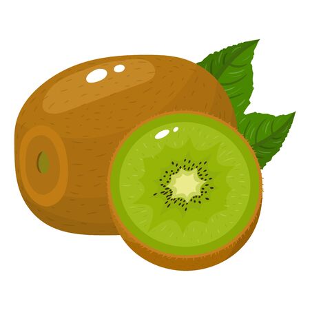 Fresh whole and half kiwi fruit with leaves isolated on white background. Summer fruits for healthy lifestyle. Organic fruit. Cartoon style. Vector illustration for any design.のイラスト素材
