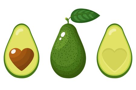 Set of fresh whole, half, cut slice and leaves avocado with heart isolated on white background. Summer fruits for healthy lifestyle. Organic fruit. Cartoon style. Vector illustration for any design.のイラスト素材