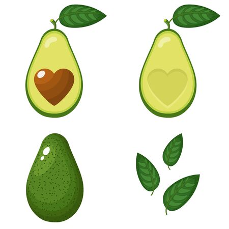 Set of fresh whole, half, cut slice and leaves avocado with heart isolated on white background. Summer fruits for healthy lifestyle. Organic fruit. Cartoon style. Vector illustration for any design.のイラスト素材