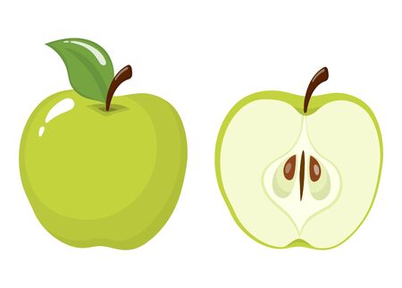 Fresh whole and half green apple isolated on white background. Organic fruit. Cartoon style. Vector illustration for any design.のイラスト素材