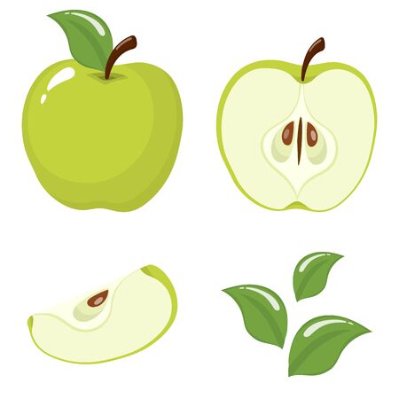 Set of fresh whole, half, cut slice and leaves green apple fruit isolated on white background. Summer fruits for healthy lifestyle. Organic fruit. Cartoon style. Vector illustration for any design.のイラスト素材