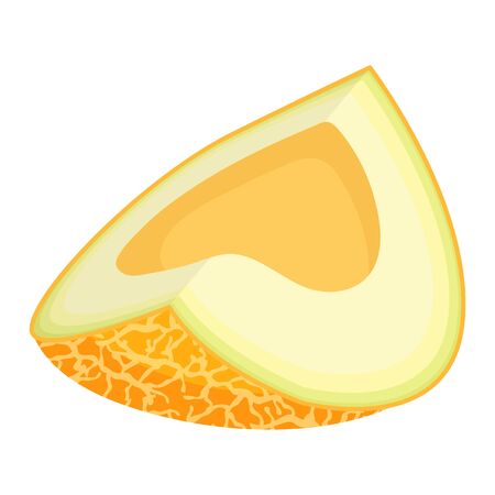 Fresh cut slice melon fruit isolated on white background. Honeydew melon. Summer fruits for healthy lifestyle. Organic fruit. Cartoon style. Vector illustration for any design.のイラスト素材