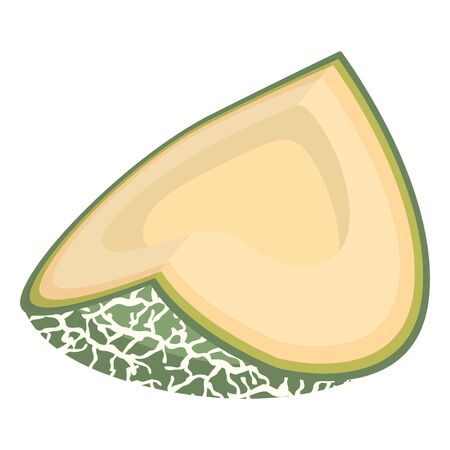 Fresh cut slice melon fruit isolated on white background. Cantaloupe melon. Summer fruits for healthy lifestyle. Organic fruit. Cartoon style. Vector illustration for any design.のイラスト素材