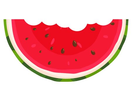 Fresh cut slice watermelon fruit isolated on white background. Summer fruits for healthy lifestyle. Organic fruit. Cartoon style.のイラスト素材