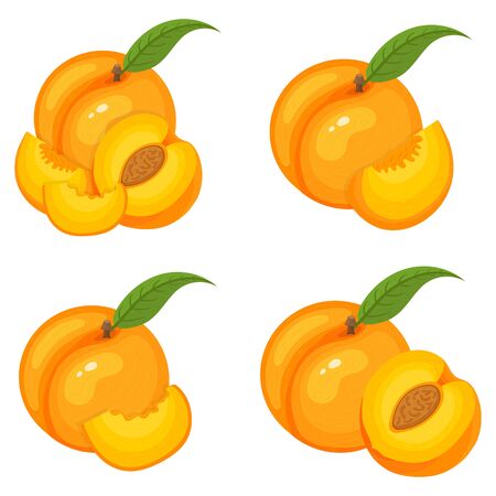 Set of fresh whole, half, cut slice peach fruits isolated on white background. Summer fruits for healthy lifestyle. Organic fruit. Cartoon style.のイラスト素材