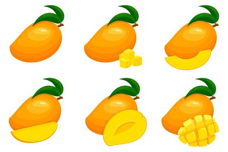 Set of fresh whole, half, cut slice mango fruits isolated on white background. Summer fruits for healthy lifestyle. Organic fruit. Cartoon style.のイラスト素材