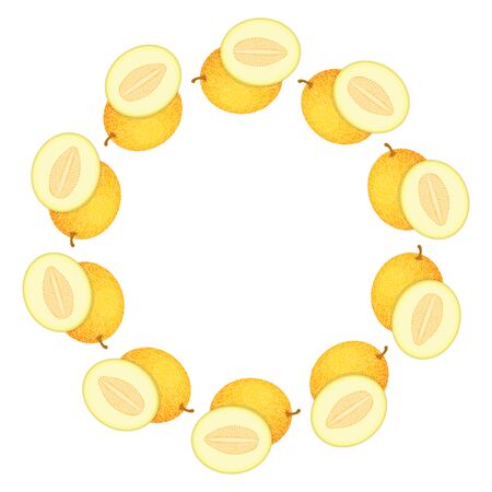 Wreath from yellow honeydew melon with space for text. Cartoon organic sweet food. Summer fruits for healthy lifestyle. Vector illustration for any design.のイラスト素材