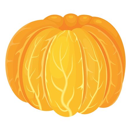 Fresh bright exotic peeled tangerine or mandarin side view isolated on white background. Summer fruits for healthy lifestyle. Organic fruit. Cartoon style. Vector illustration for any design.のイラスト素材