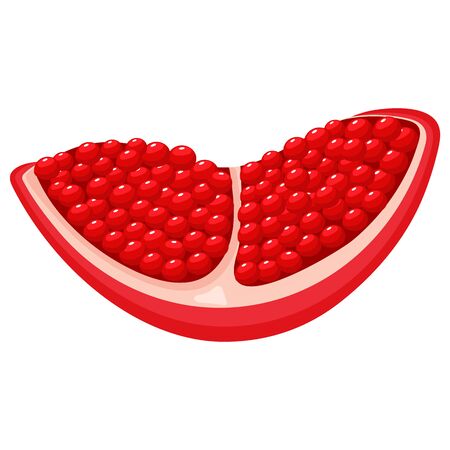 Fresh bright exotic pomegranate chunk isolated on white background. Summer fruits for healthy lifestyle. Organic fruit. Cartoon style. Vector illustration for any design.のイラスト素材