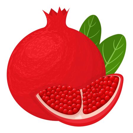 Fresh bright exotic whole and chunk pomegranate with leaves isolated on white background. Summer fruits for healthy lifestyle. Organic fruit. Cartoon style. Vector illustration for any design.のイラスト素材