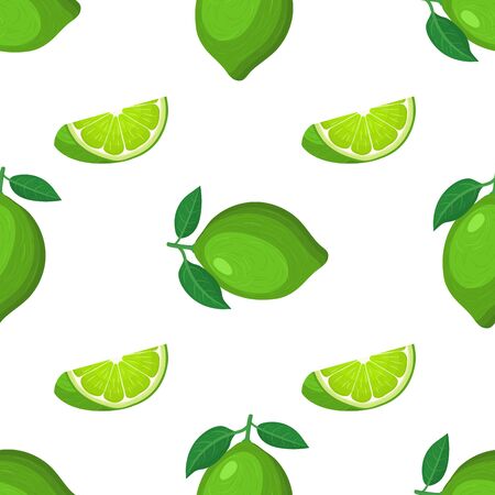 Seamless pattern with fresh bright exotic whole and cut slice lime fruit on white background. Summer fruits for healthy lifestyle. Organic fruit. Cartoon style. Vector illustration for any design.のイラスト素材