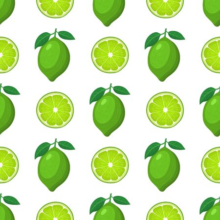 Seamless pattern with fresh bright exotic whole and half lime fruit on white background. Summer fruits for healthy lifestyle. Organic fruit. Cartoon style. Vector illustration for any design.のイラスト素材