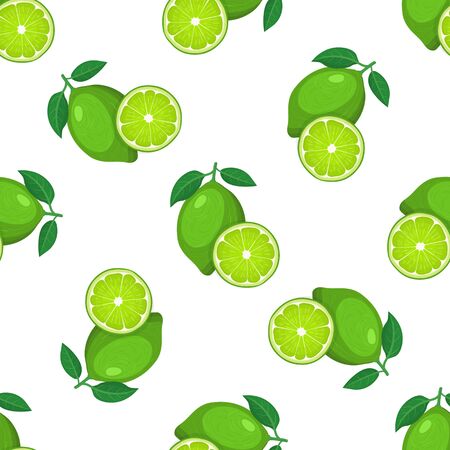 Seamless pattern with fresh bright exotic whole and half lime fruit on white background. Summer fruits for healthy lifestyle. Organic fruit. Cartoon style. Vector illustration for any design.のイラスト素材