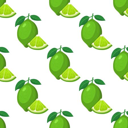 Seamless pattern with fresh bright exotic whole and cut slice lime fruit on white background. Summer fruits for healthy lifestyle. Organic fruit. Cartoon style. Vector illustration for any design.のイラスト素材