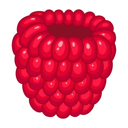 Fresh bright exotic whole raspberry isolated on white background. Summer fruits for healthy lifestyle. Organic fruit. Cartoon style. Vector illustration for any design.のイラスト素材