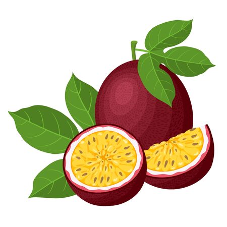 Fresh bright exotic whole, half and cut slice passion fruits isolated on white background. Summer fruits for healthy lifestyle. Organic fruit. Cartoon style. Vector illustration for any design.のイラスト素材
