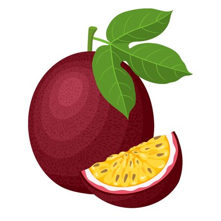 Fresh bright exotic whole and cut slice passion fruits isolated on white background. Summer fruits for healthy lifestyle. Organic fruit. Cartoon style. Vector illustration for any design.のイラスト素材