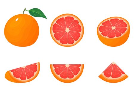 Set of fresh whole, half, cut slice grapefruit fruits isolated on white background. Summer fruits for healthy lifestyle. Organic fruit. Cartoon style. Vector illustration for any design.のイラスト素材