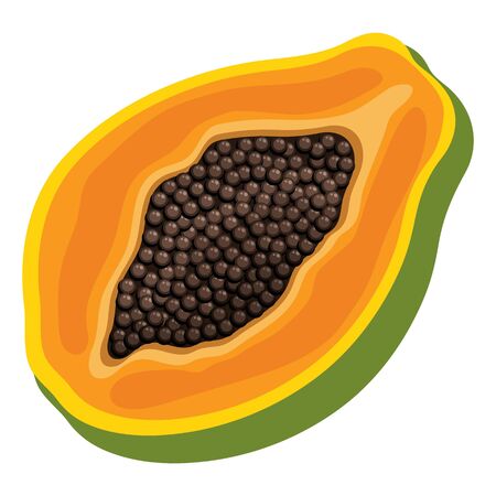 Fresh bright exotic half papaya fruit isolated on white background. Summer fruits for healthy lifestyle. Organic fruit. Cartoon style. Vector illustration for any design.のイラスト素材