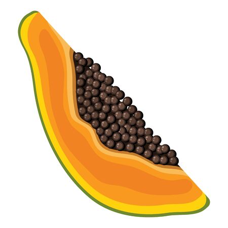 Fresh bright exotic cut slice papaya fruit isolated on white background. Summer fruits for healthy lifestyle. Organic fruit. Cartoon style. Vector illustration for any design.のイラスト素材