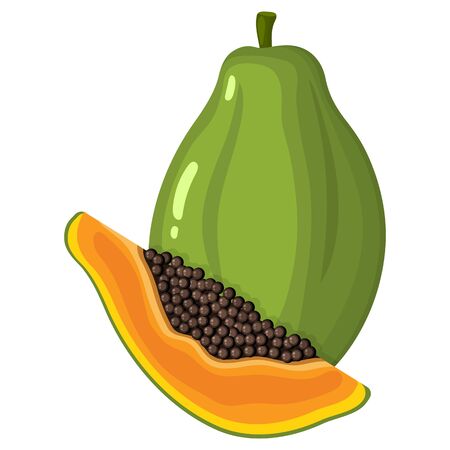 Fresh bright exotic whole and cut slice papaya fruit isolated on white background. Summer fruits for healthy lifestyle. Organic fruit. Cartoon style. Vector illustration for any design.のイラスト素材
