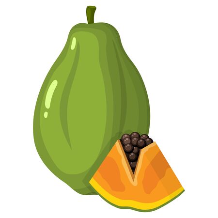 Fresh bright exotic whole and cut slice papaya fruit isolated on white background. Summer fruits for healthy lifestyle. Organic fruit. Cartoon style. Vector illustration for any design.のイラスト素材