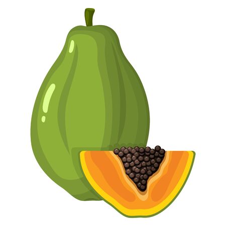 Fresh bright exotic whole and cut slice papaya fruit isolated on white background. Summer fruits for healthy lifestyle. Organic fruit. Cartoon style. Vector illustration for any design.のイラスト素材