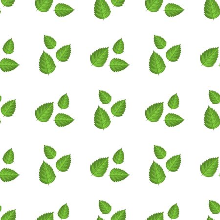 Seamless pattern with decorative green raspberry leaves on white background. Vector illustration for any design.のイラスト素材