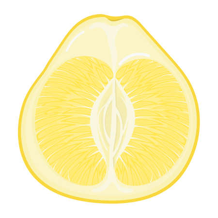 Fresh bright exotic half yellow pomelo fruit isolated on white background. Summer fruits for healthy lifestyle. Organic fruit. Cartoon style. Vector illustration for any design.のイラスト素材