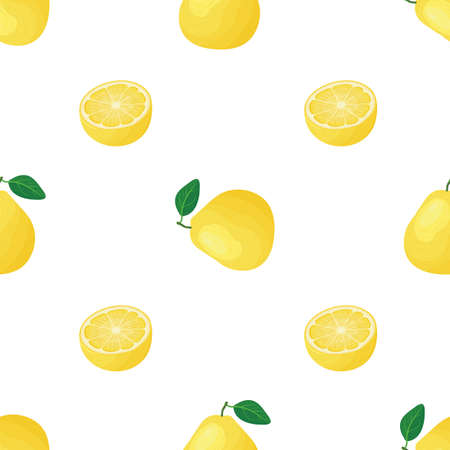 Seamless pattern with fresh bright exotic whole and cut slice pomelo fruit on white background. Summer fruits for healthy lifestyle. Organic fruit. Cartoon style.のイラスト素材