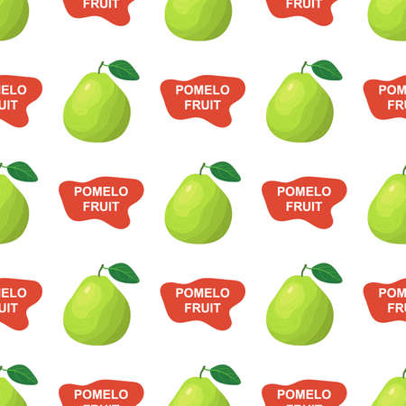 Seamless pattern with fresh bright exotic whole and cut slice pomelo fruit on white background. Summer fruits for healthy lifestyle. Organic fruit. Cartoon style. Vector illustration for any design.のイラスト素材
