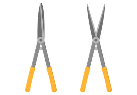 Gardening scissors isolated on white background. Gardening tools. Vector illustration in cartoon style for your design.のイラスト素材