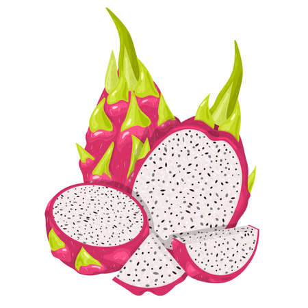 Set of fresh whole, half, cut slice red pitaya fruits isolated on white background. Summer fruits for healthy lifestyle. Organic fruit. Cartoon style. Vector illustration for any designのイラスト素材
