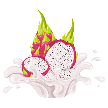 Set of fresh bright red pitaya juice splash burst isolated on white background. Summer fruit juice. Cartoon style. Vector illustration for any designのイラスト素材
