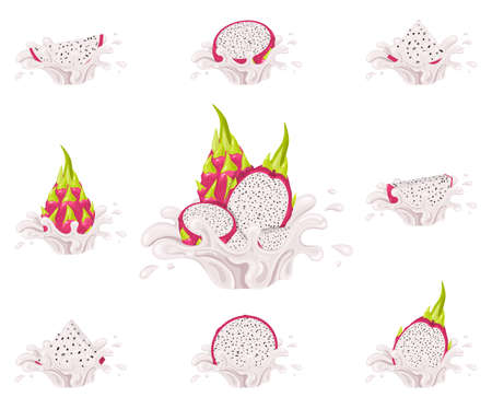 Set of fresh bright red pitaya juice splash burst isolated on white background. Summer fruit juice. Cartoon style. Vector illustration for any designのイラスト素材