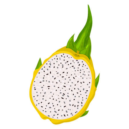 Fresh half cut yellow pitaya fruits isolated on white background. Summer fruits for healthy lifestyle. Organic fruit. Cartoon style. Vector illustration for any designのイラスト素材