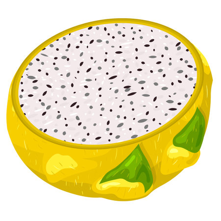 Fresh half cut yellow pitaya fruits isolated on white background. Summer fruits for healthy lifestyle. Organic fruit. Cartoon style. Vector illustration for any designのイラスト素材