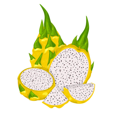 Set of fresh whole, half, cut slice yellow pitaya fruits isolated on white background. Summer fruits for healthy lifestyle. Cartoon style. Vector illustration for any designのイラスト素材