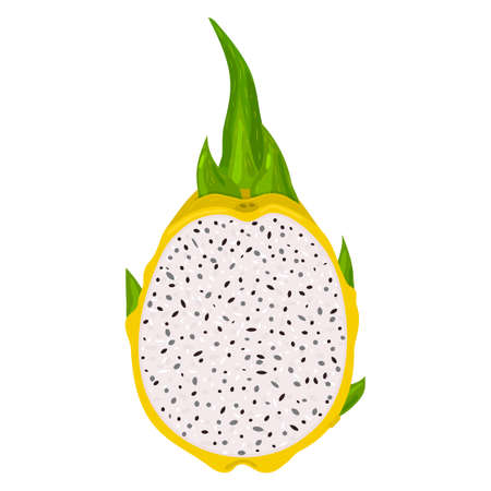 Fresh half cut yellow pitaya fruits isolated on white background. Summer fruits for healthy lifestyle. Organic fruit. Cartoon style. Vector illustration for any designのイラスト素材