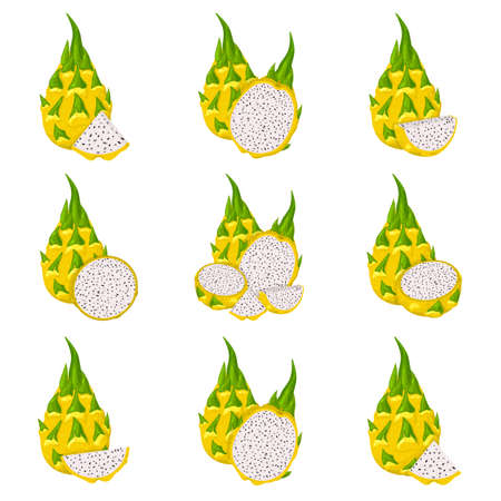 Set of fresh whole, half, cut slice yellow pitaya fruits isolated on white background. Summer fruits for healthy lifestyle. Cartoon style. Vector illustration for any designのイラスト素材