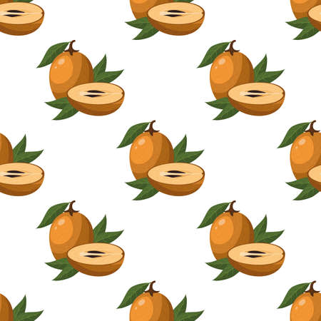 Seamless pattern with fresh sapodilla fruits isolated on white background. Summer fruits for healthy lifestyle. Organic fruit. Cartoon style. Vector illustration for any design.のイラスト素材